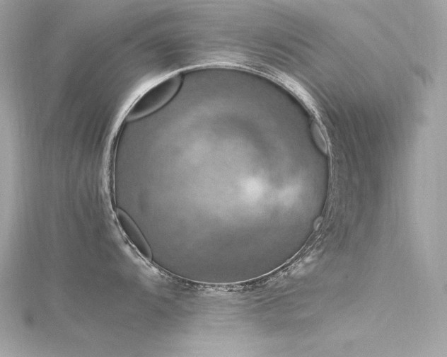 X0000116351104200912011405