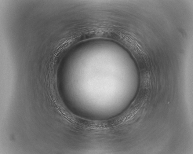 X0000116351105200912011405