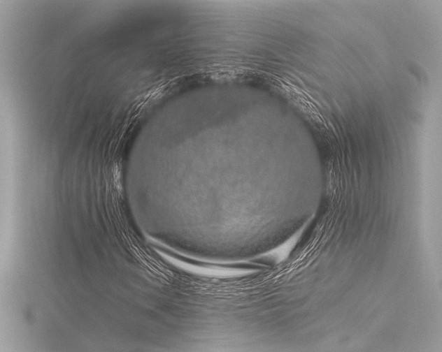 X0000116351106200912011405