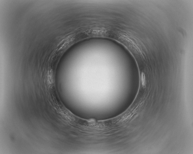 X0000116351107200912011405