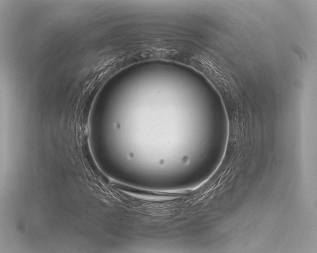 X0000116351109200912011405