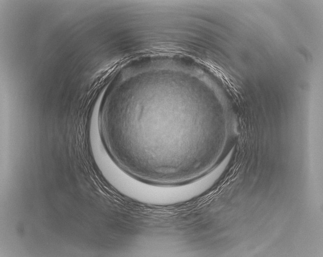 X0000116351110200912011405