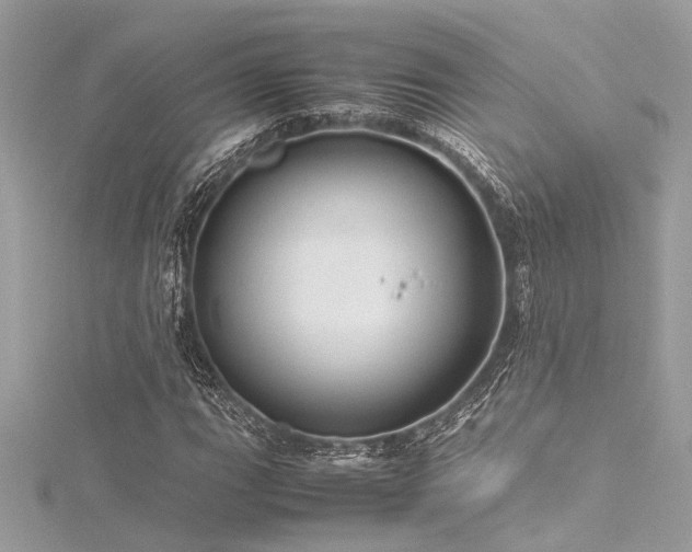 X0000116351111200912011405