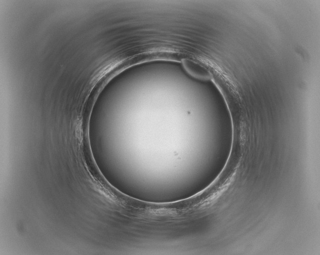 X0000116351113200912011405