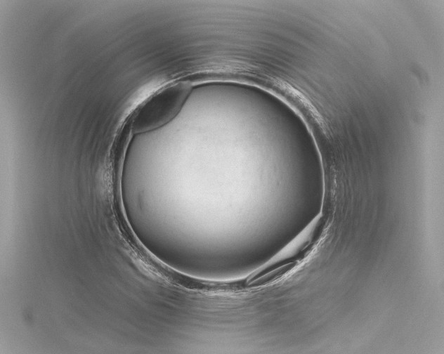 X0000116351114200912011405