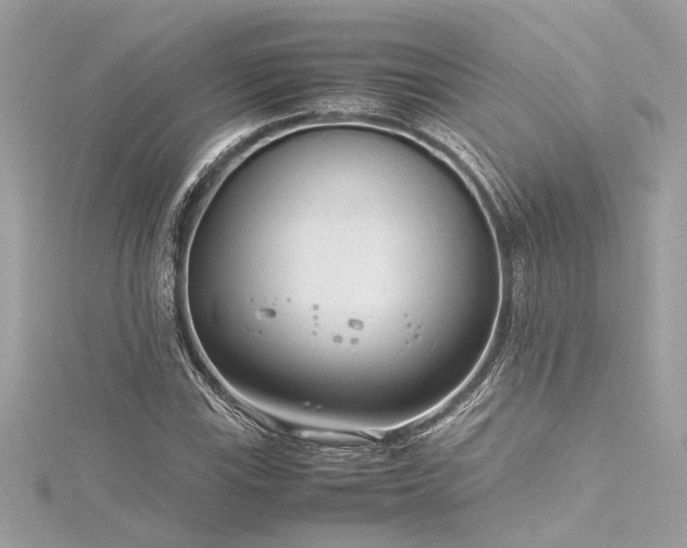 X0000116351115200912011405