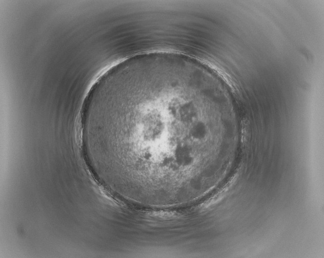 X0000116351117200912011405