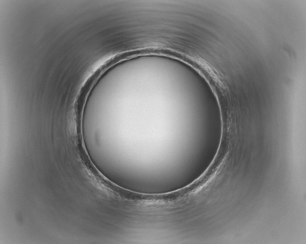 X0000116351118200912011405