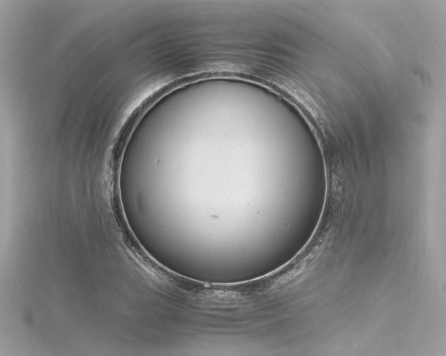 X0000116351119200912011405