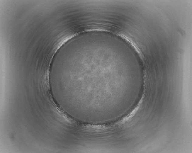 X0000116351121200912011405