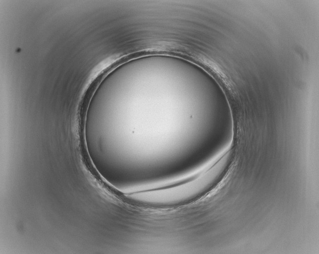 X0000116351122200912011405