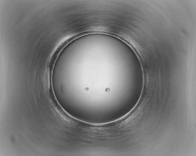 X0000116351123200912011405