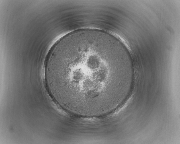 X0000116351125200912011405