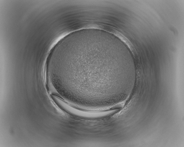 X0000116351127200912011405