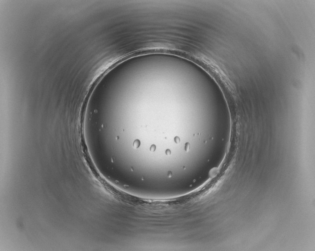 X0000116351129200912011405