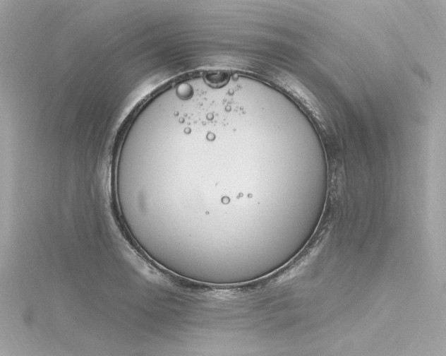 X0000116351130200912011405