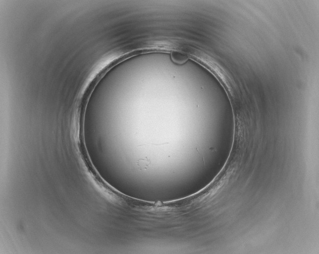 X0000116351131200912011405