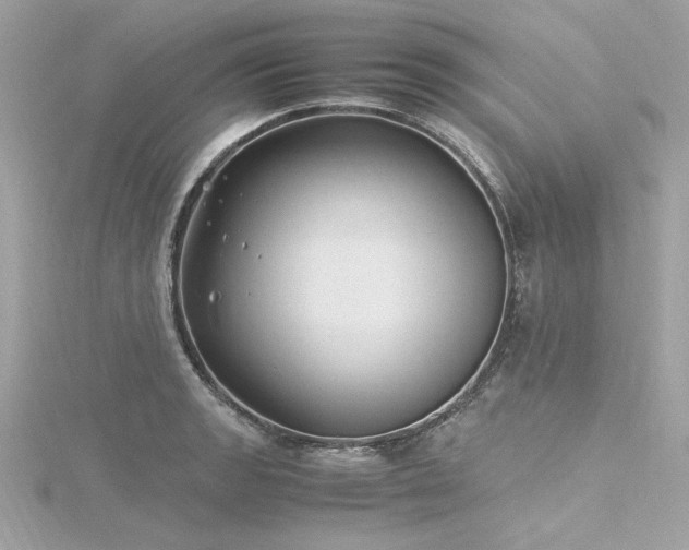 X0000116351133200912011405