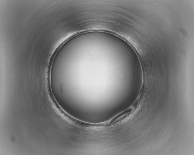 X0000116351134200912011405