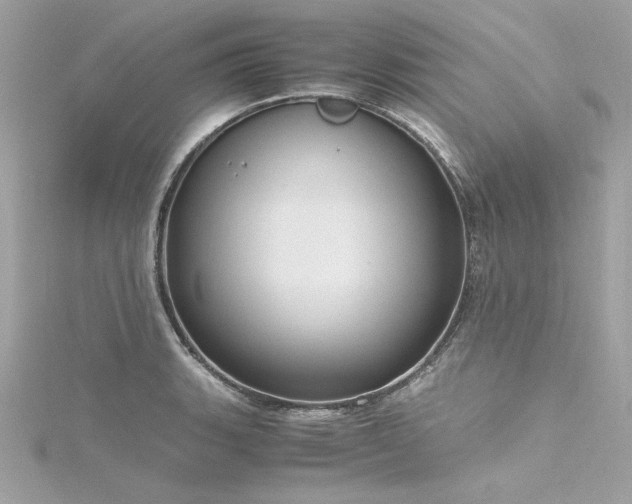 X0000116351135200912011405