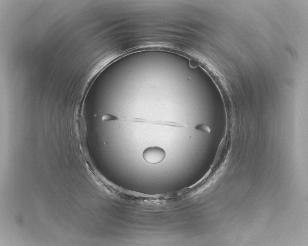 X0000116351137200912011405