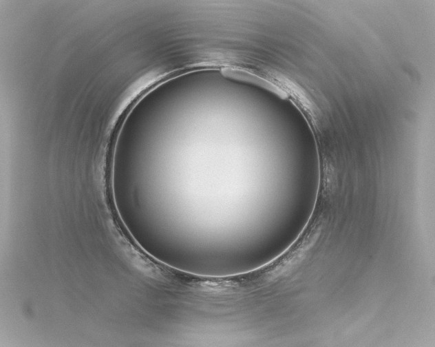 X0000116351138200912011405