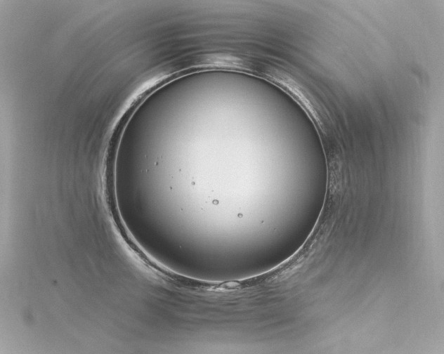 X0000116351139200912011405