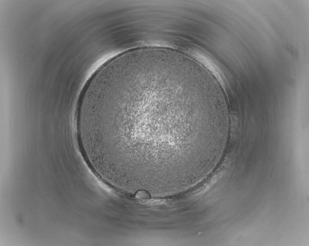 X0000116351141200912011405