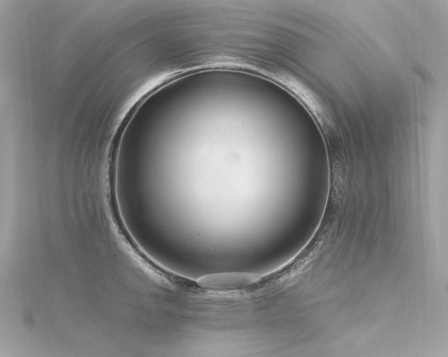 X0000116351142200912011405