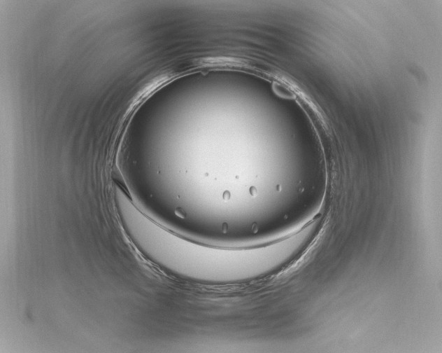 X0000116351145200912011405