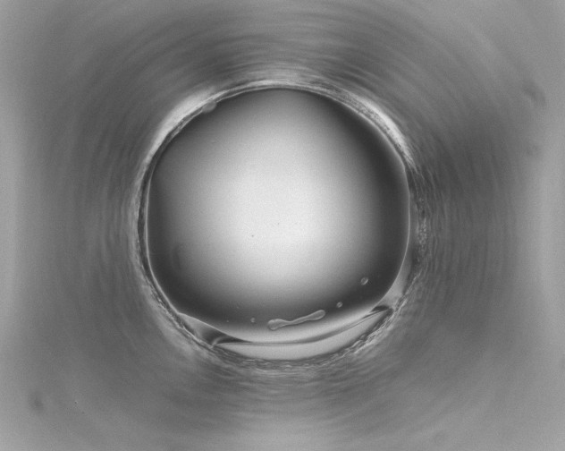 X0000116351146200912011405