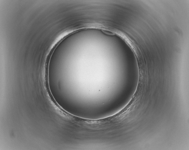 X0000116351147200912011405