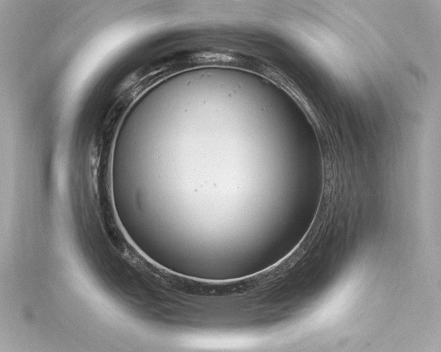 X0000116351151200912011405