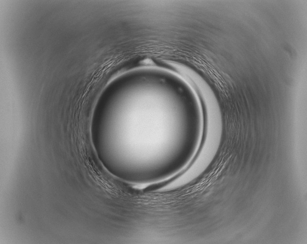 X0000116351153200912011405