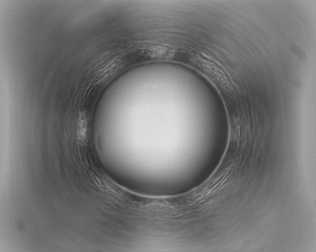 X0000116351154200912011405