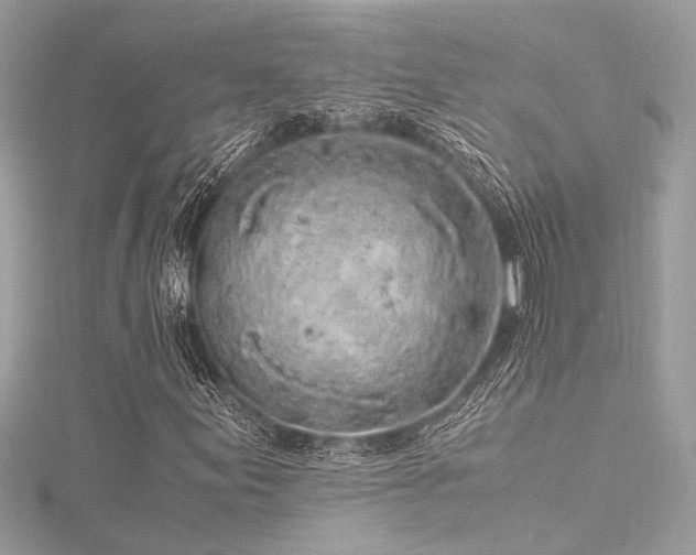 X0000116351155200912011405