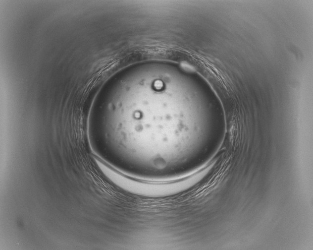 X0000116351156200912011405