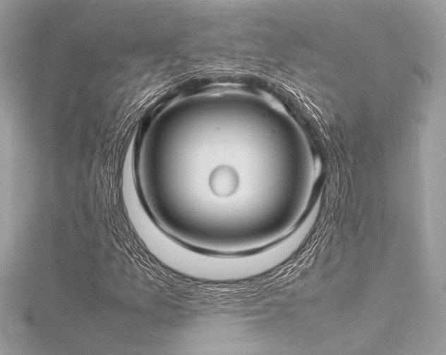 X0000116351157200912011405