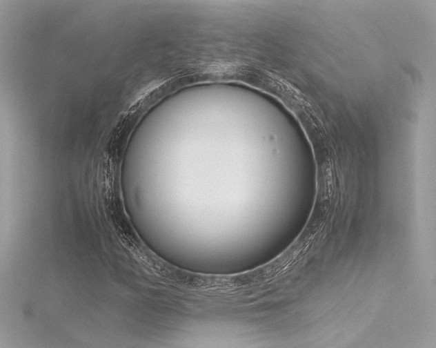 X0000116351158200912011405