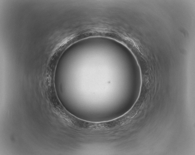 X0000116351159200912011405