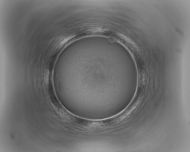 X0000116351161200912011405