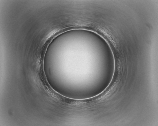 X0000116351163200912011405