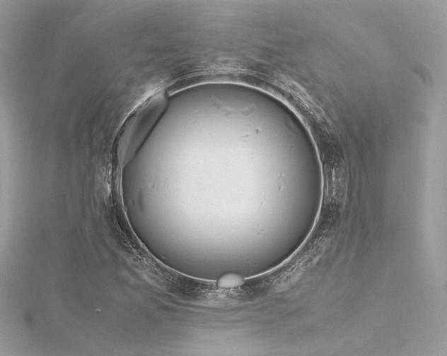 X0000116351165200912011405