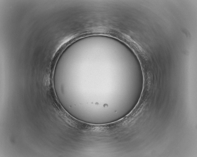 X0000116351166200912011405