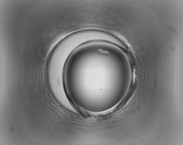 X0000116351167200912011405