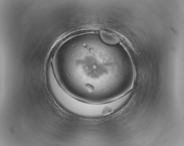 X0000116351168200912011405