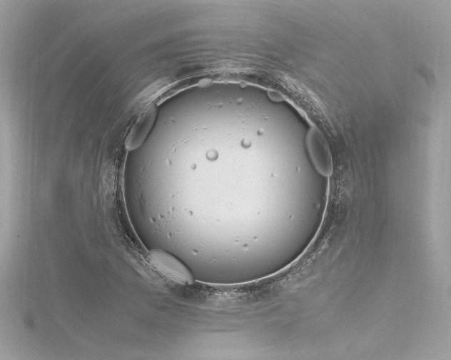 X0000116351169200912011404