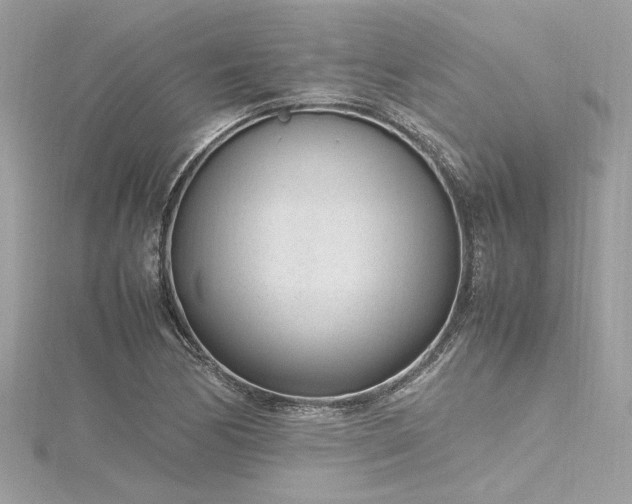 X0000116351170200912011404