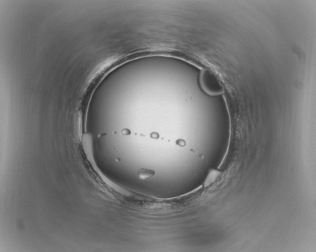 X0000116351171200912011404