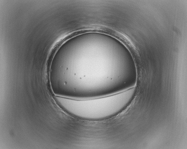 X0000116351172200912011404